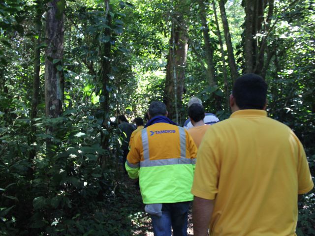 Colaboradores da Concessionária Tamoios têm aula de preservação do Meio Ambiente no Parque Estadual da Serra do Mar