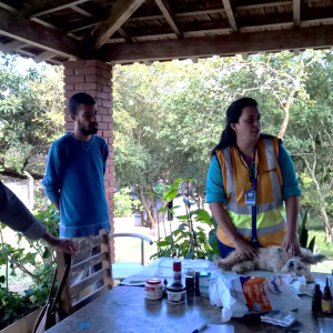Tamoios ministra curso de primeiros socorros veterinários