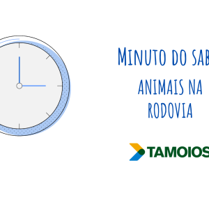 Minuto do Saber – Animais na rodovia