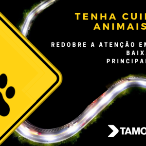 Concessionária Tamoios dá dicas para a prevenção de acidentes envolvendo animais