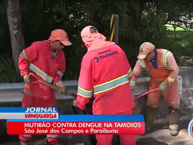 Mutirão recolheu lixo e possíveis criadouros da dengue na Tamoios