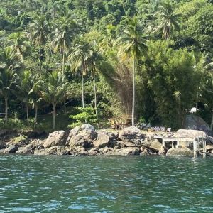 São Sebastião investe em ecoturismo e baleias para trazer visitante após tragédia