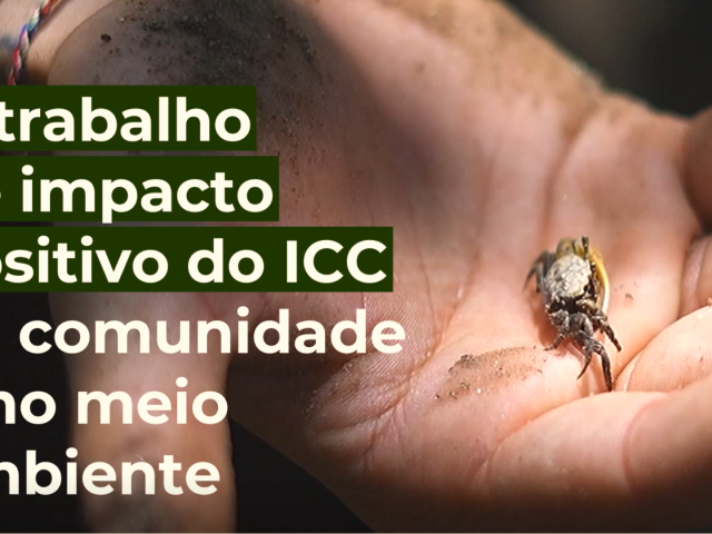 Projeto Restaura Litoral promove impacto positivo na comunidade e no meio ambiente