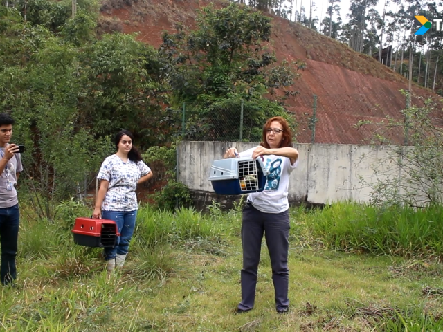 Tamoios e Univap fazem soltura de tucano e carcará