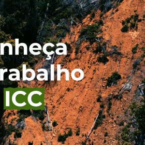 Conheça mais um projeto de restauração ambiental financiado pela Concessionária Tamoios