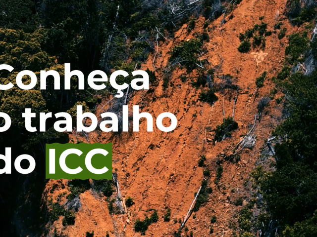Conheça mais um projeto de restauração ambiental financiado pela Concessionária Tamoios