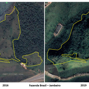 Projeto Tamoios de Plantio abrange 243 hectares de proteção de nascentes e restauração de Mata Atlântica