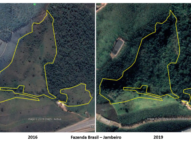 Projeto Tamoios de Plantio abrange 243 hectares de proteção de nascentes e restauração de Mata Atlântica