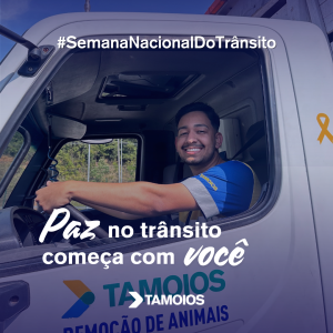 Semana Nacional do Trânsito 2024