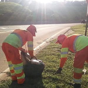 Concessionária Tamoios realiza mutirão de limpeza contra a dengue na rodovia