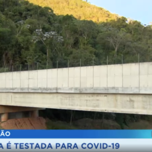Ações de prevenção à fauna silvestre na Tamoios são destaque na TV