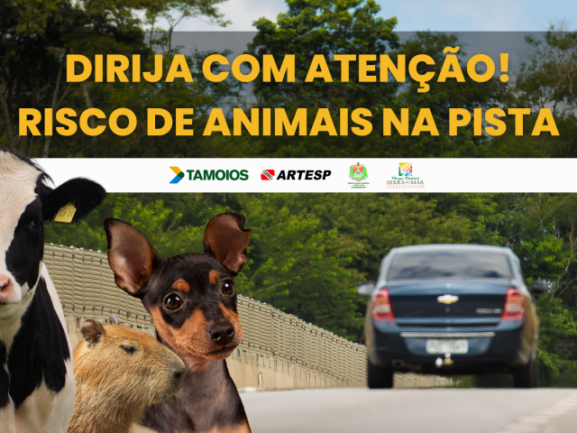 Concessionária Tamoios reforça ações de conscientização sobre o risco de atropelamento de animais na rodovia