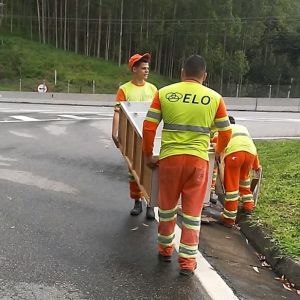 Mutirão de limpeza atua no combate à dengue na Rodovia dos Tamoios